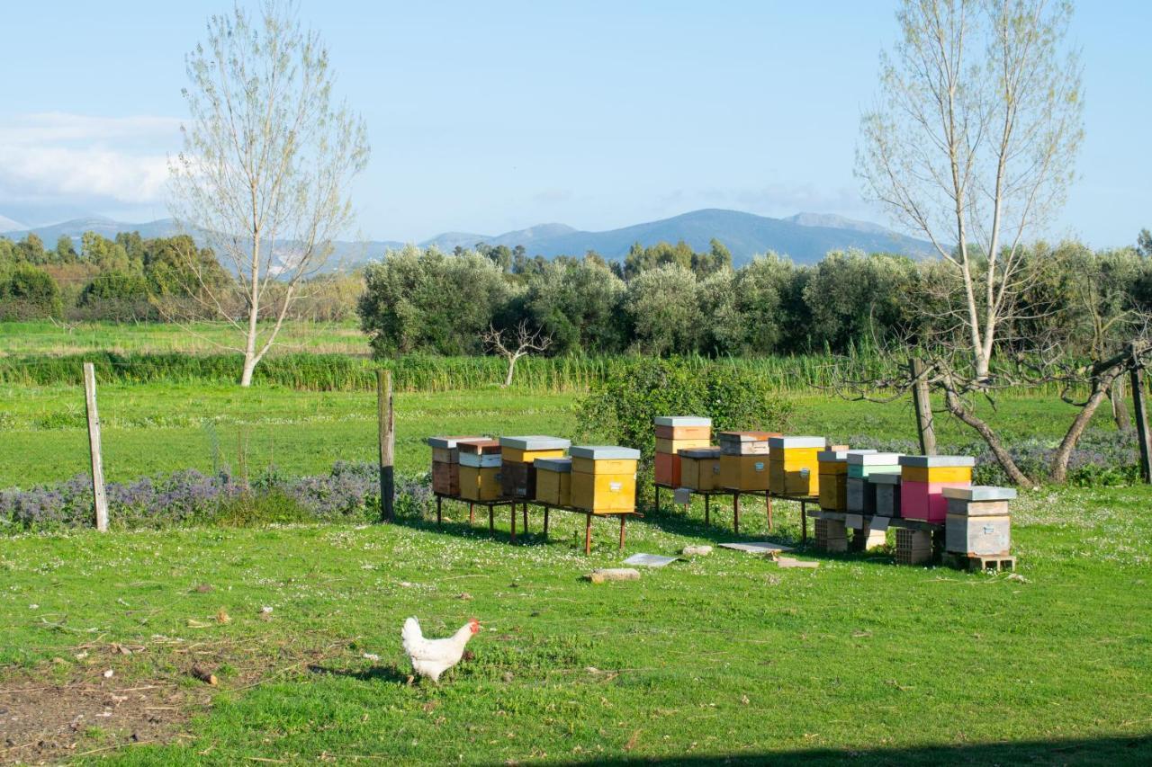 Camera Iris - B&B Antico Casale Monte San Biagio Zewnętrze zdjęcie